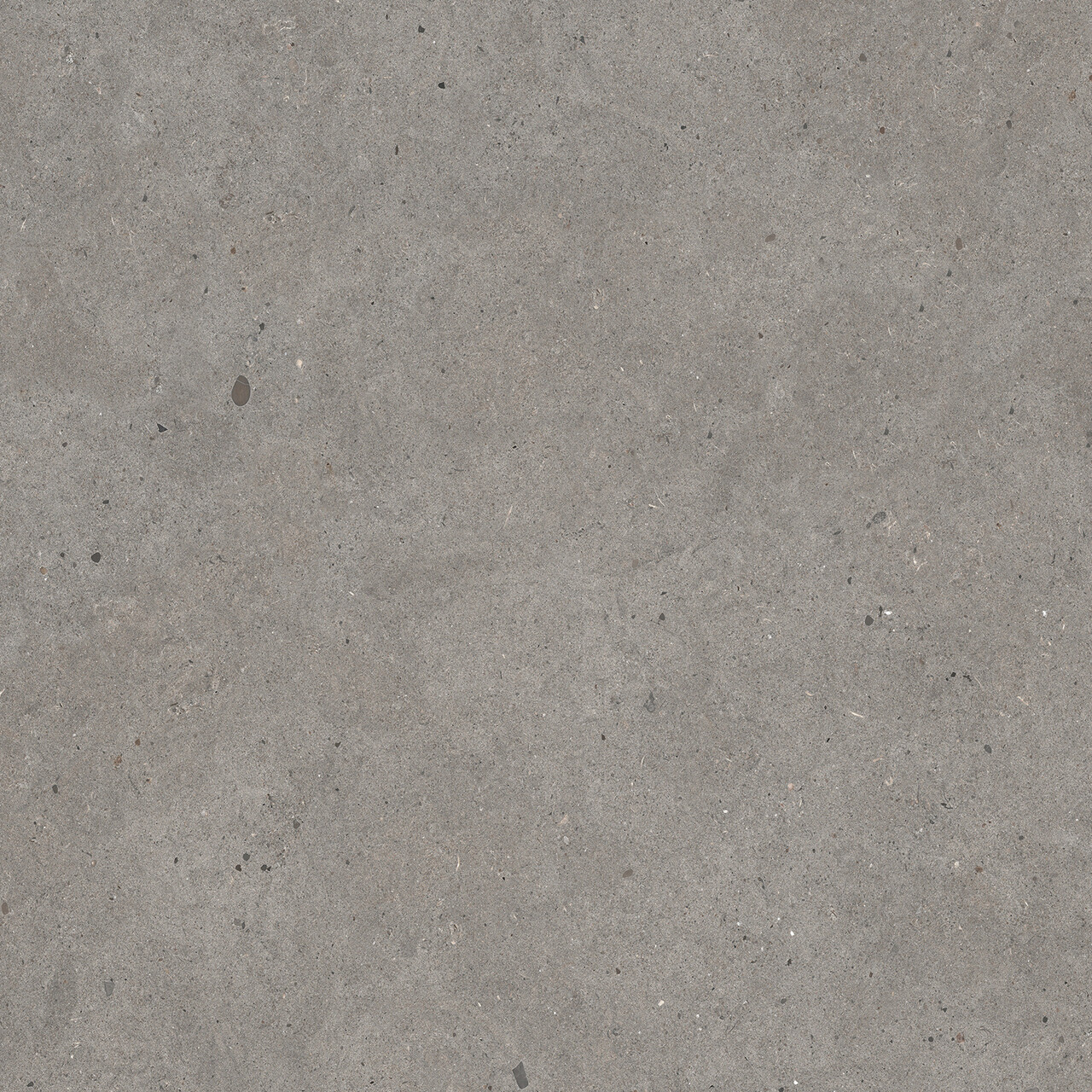 Плитка керамогранітна EY 04 Gris Catalan NAT SQ 600x600x9 Mirage - Зображення