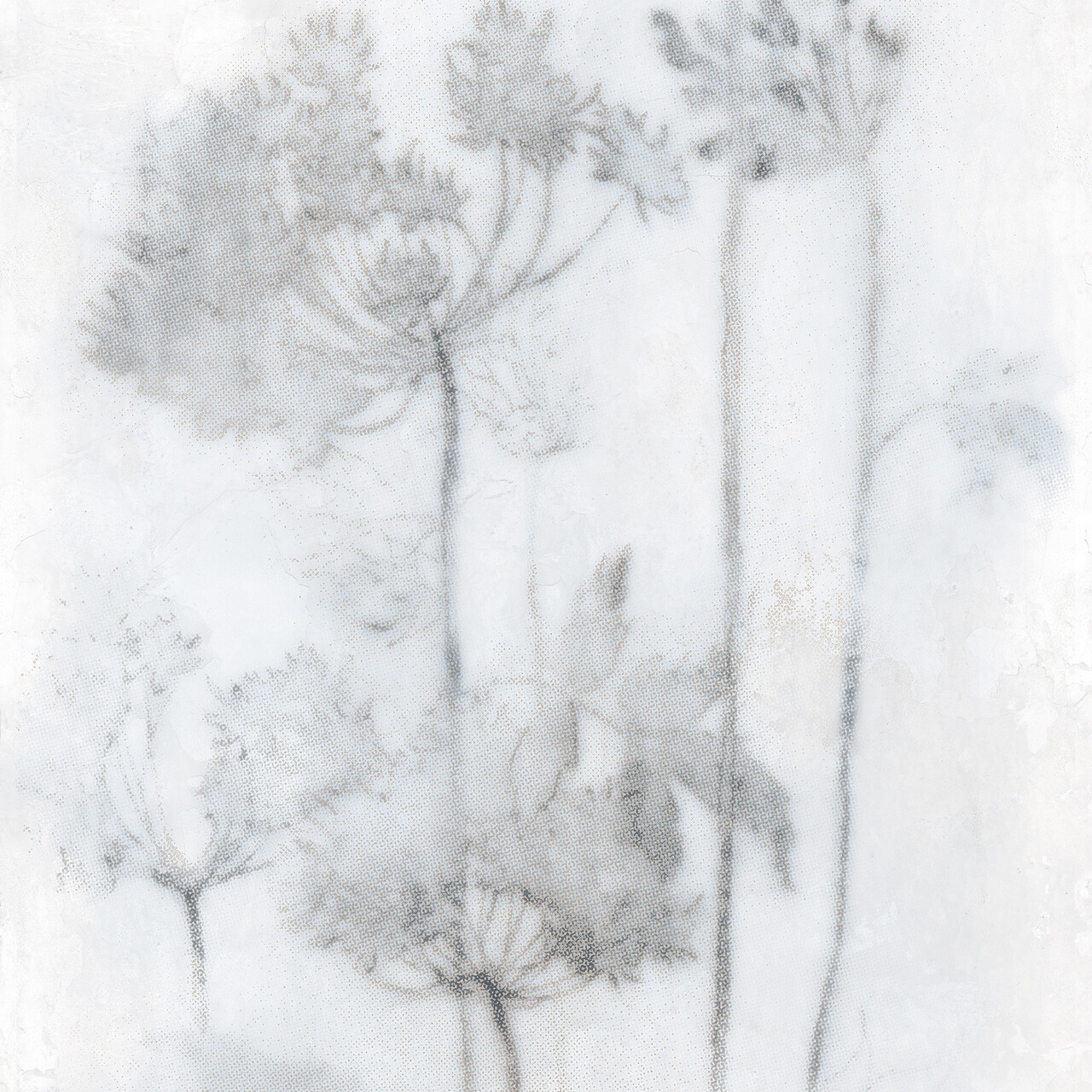 Плитка керамогранитная BDK0 PAPIER Esp Froid LUC SQ 1200x2780x6 Mirage - Зображення