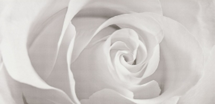 Декор Effecta Grey Inserto 297×600x9 Opoczno - Зображення