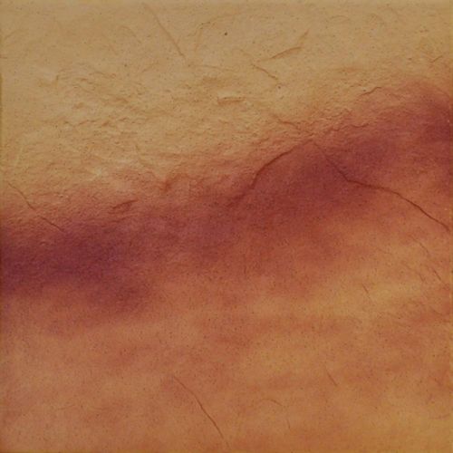 Плитка універсальна Jesienny Lisc RUST 300x300x9 Cerrad - Зображення 93279-plytka_uniwersalna_rustykalna_jesienny_lisc_.jpg