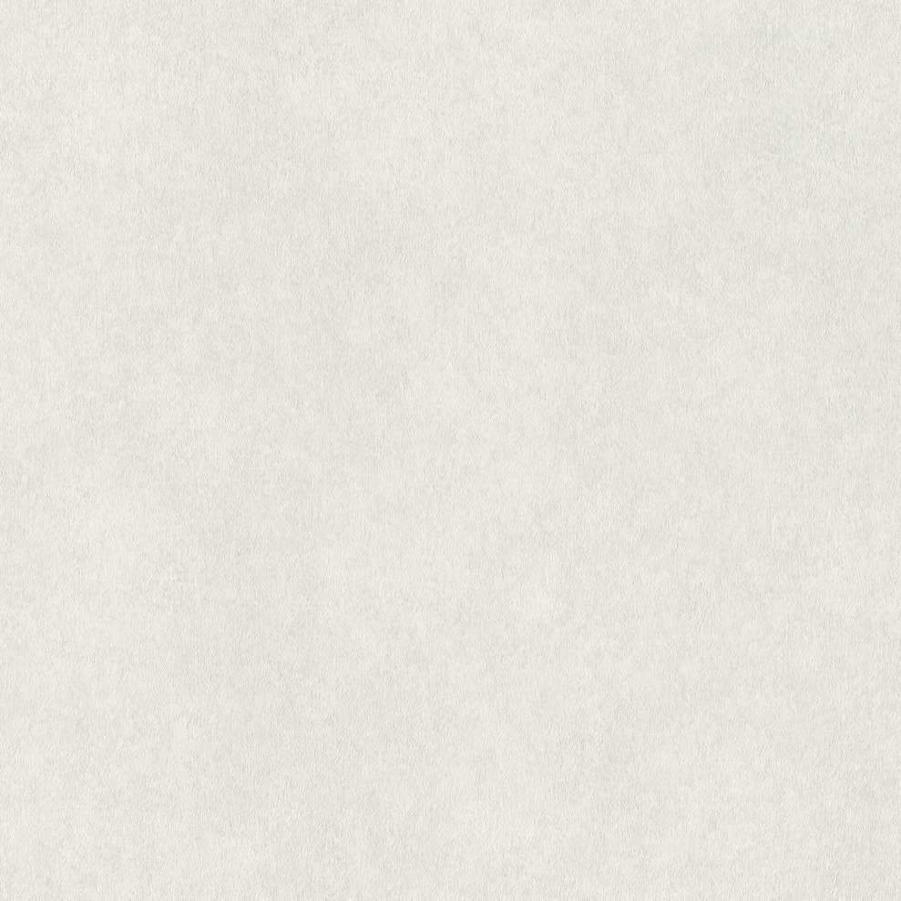 Шпалери Rasch Raymond 957303 - Зображення