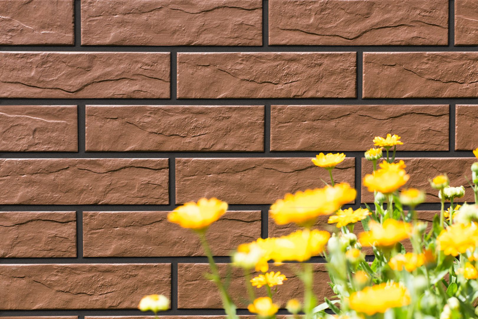 Плитка фасадна Braz RUST 65x245x6,5 Cerrad - Зображення 9fbef-br_z-rustykalna.jpg