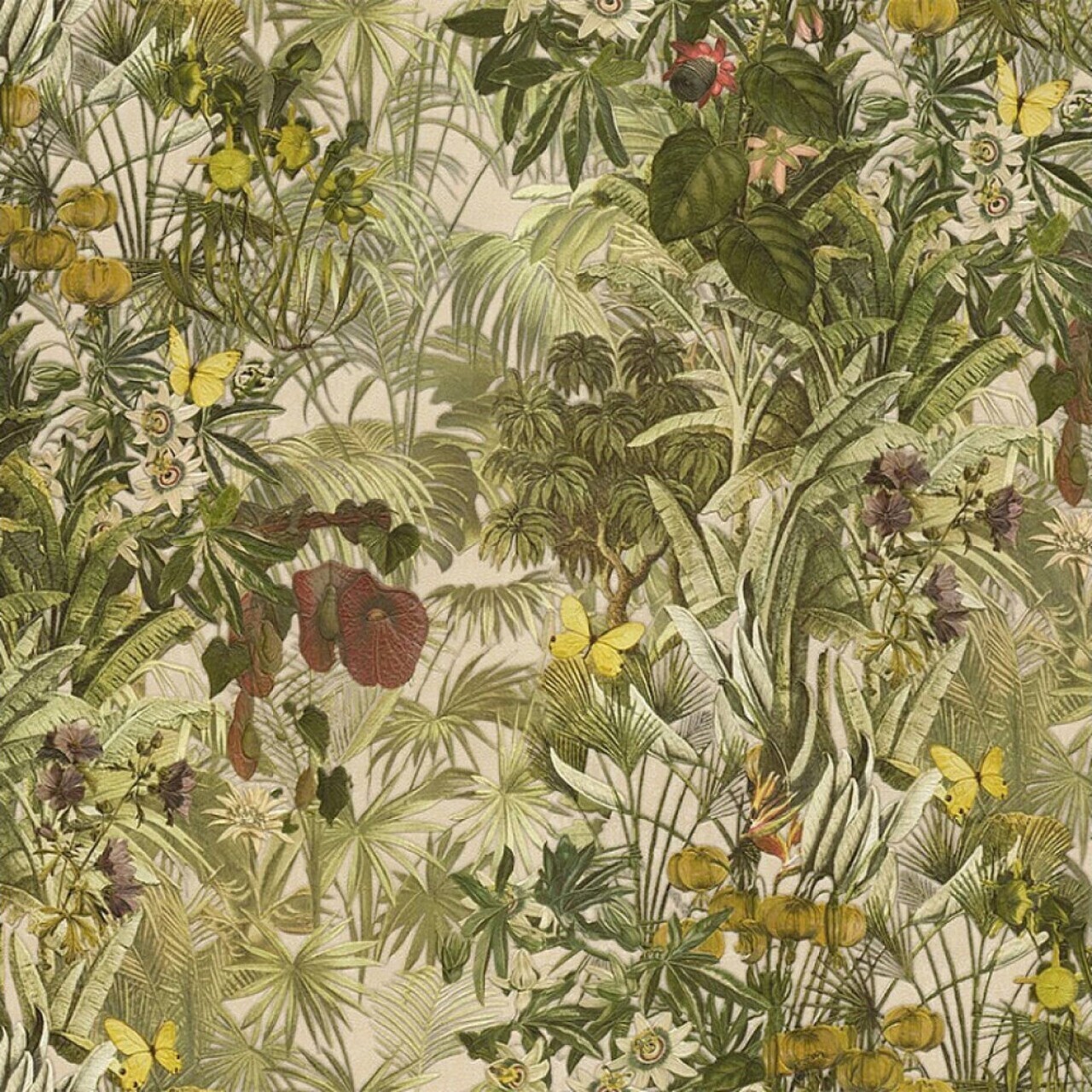 Шпалери Emiliana Parati Blumrine №5 29043 - Зображення AW6TPPG_29043.jpg