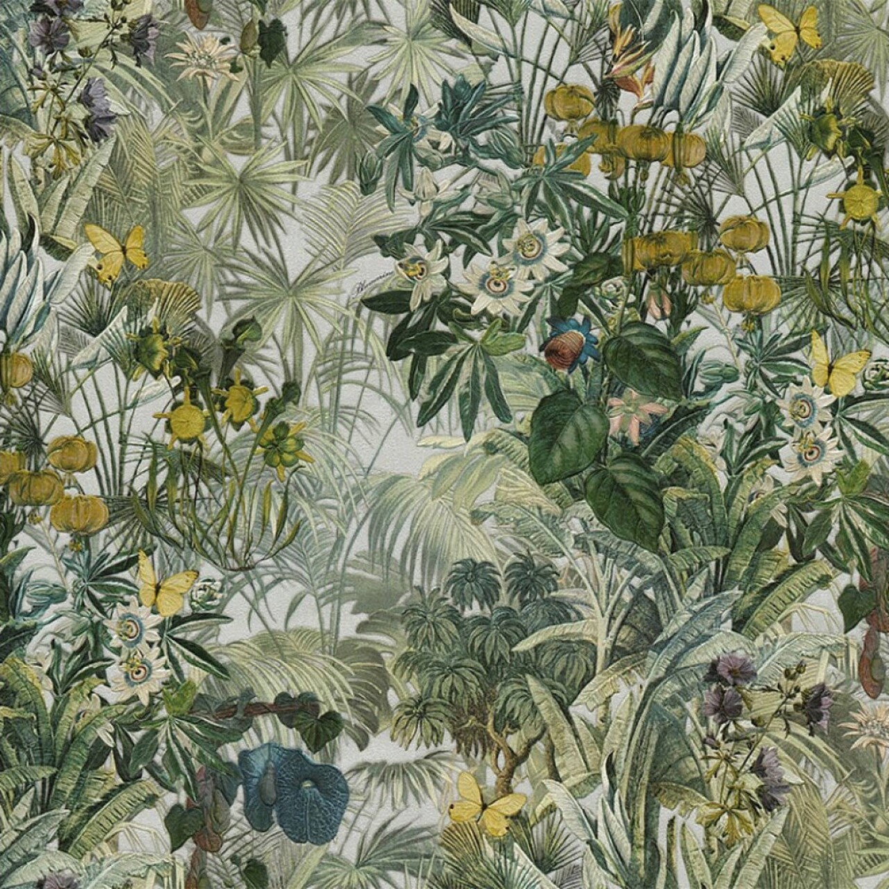 Шпалери Emiliana Parati Blumrine №5 29051 - Зображення AW6TPPG_29051.jpg