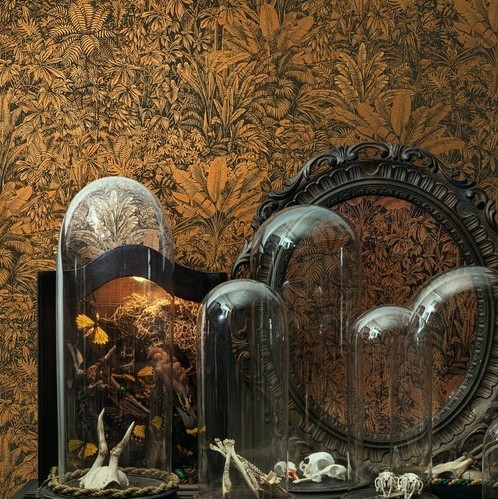 Шпалери Khroma CABINET CAB304 - Зображення CAB304-.jpg