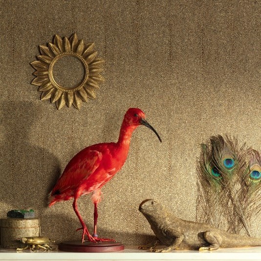 Шпалери Khroma CABINET CAB904 - Зображення CAB904-.jpg