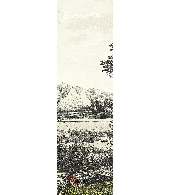 Шпалери Khroma WALL DESIGNS II DG2SAF1013 - Зображення