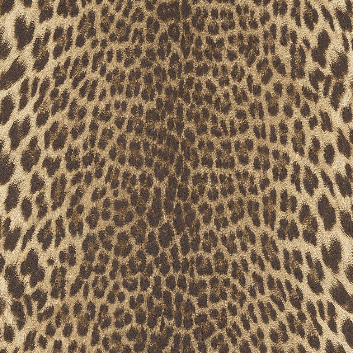 Шпалери Emiliana Parati Roberto Cavalli № 9 21041 - Зображення