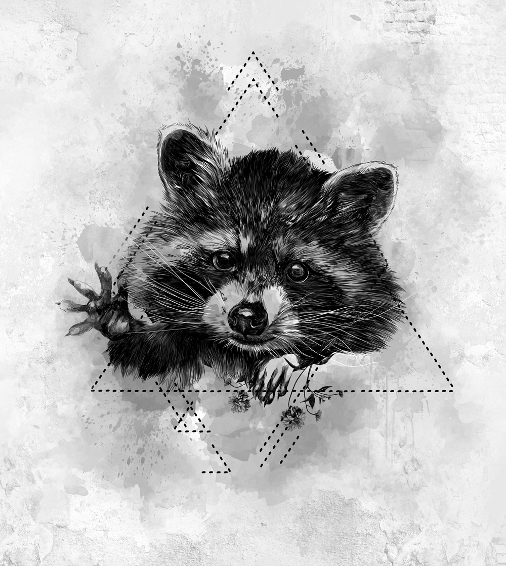 Фотошпалери LeoPrint Голодний єнот - Зображення