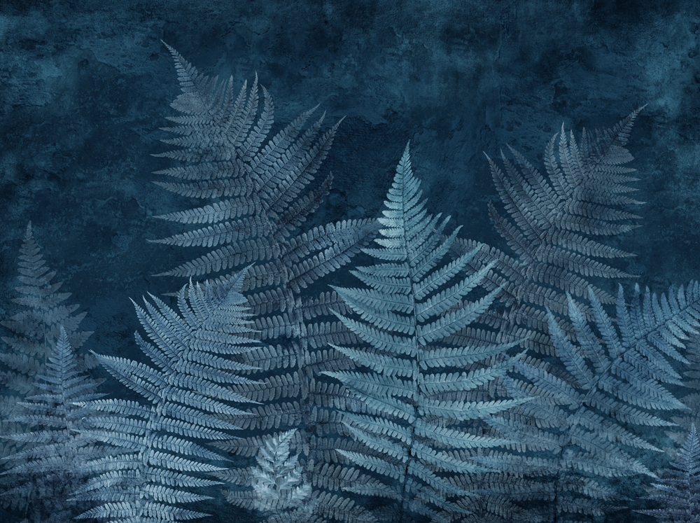 Фотошпалери LeoPrint Листя папороті - Зображення