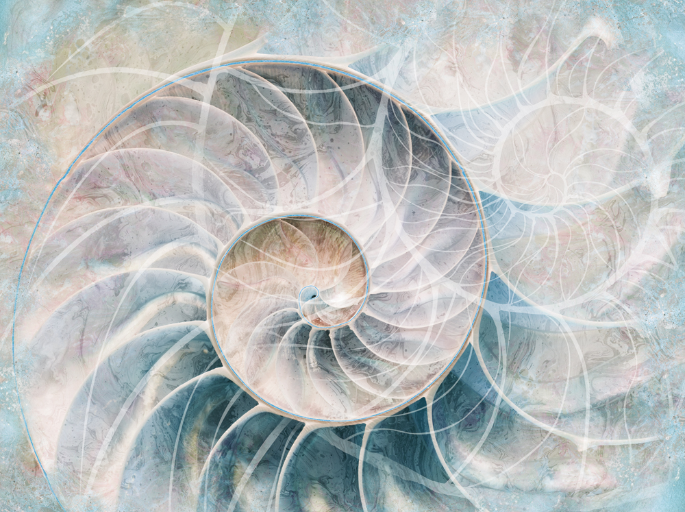 Фотошпалери LeoPrint Перлина - Зображення