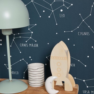 Шпалери Caselio Our Planet OUP101916918 - Зображення OUP101916918--.jpg