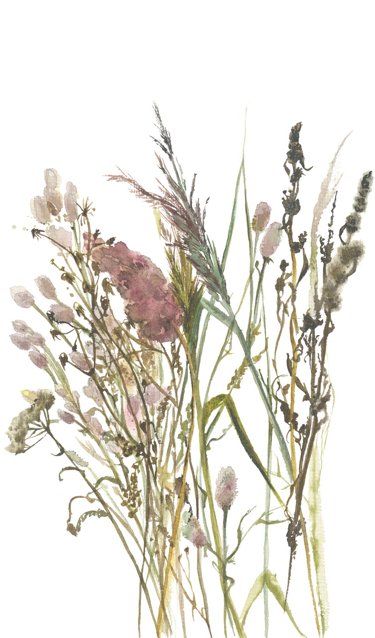  - Зображення