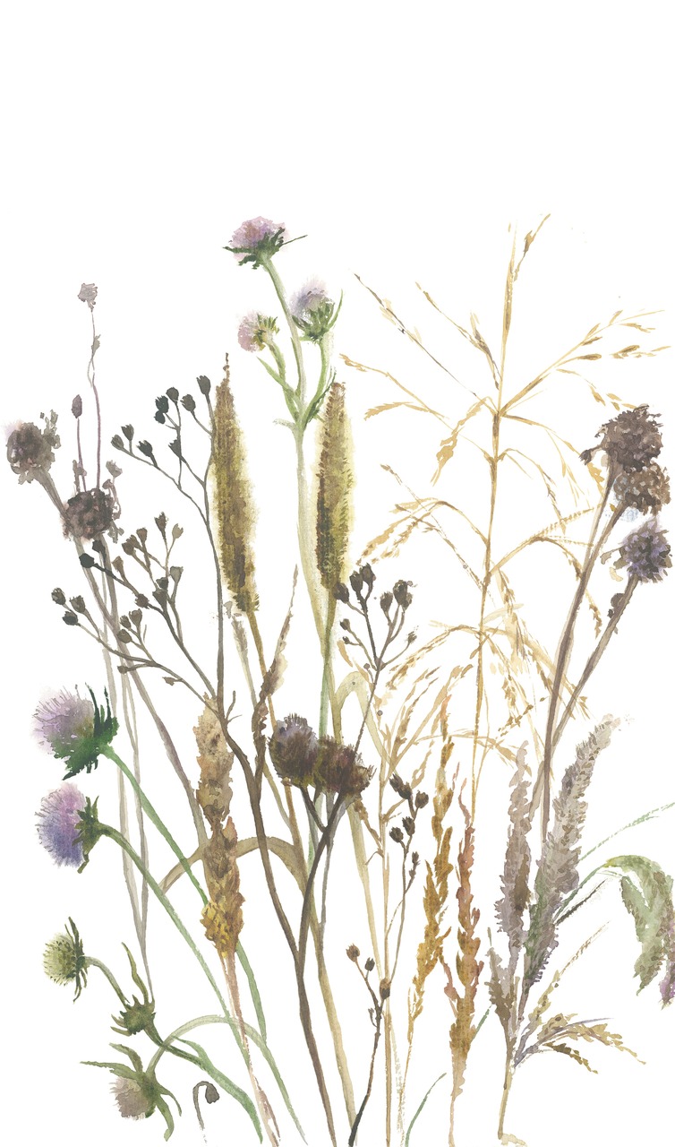 Шпалери Marburg Boho 35799 - Зображення