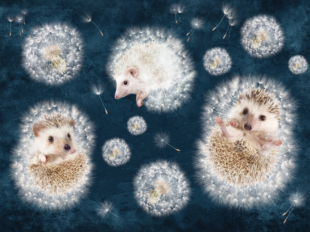 Фотошпалери LeoPrint Повітряне щастя - Зображення VCE6XUC_PW-0014.jpg