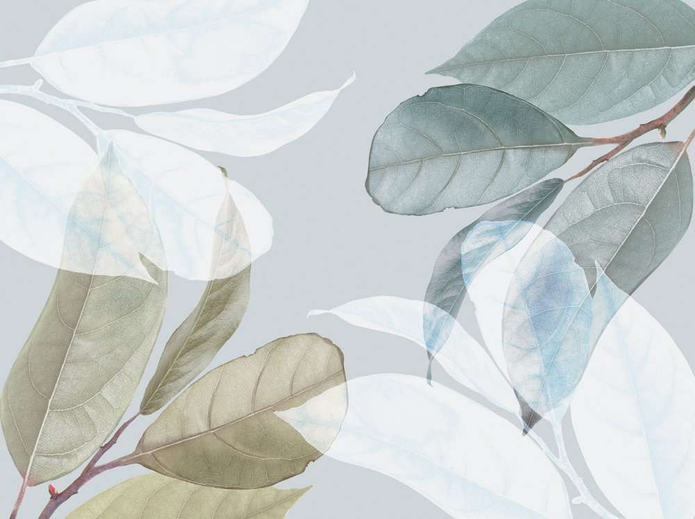 Фотошпалери LeoPrint Танок листя - Зображення