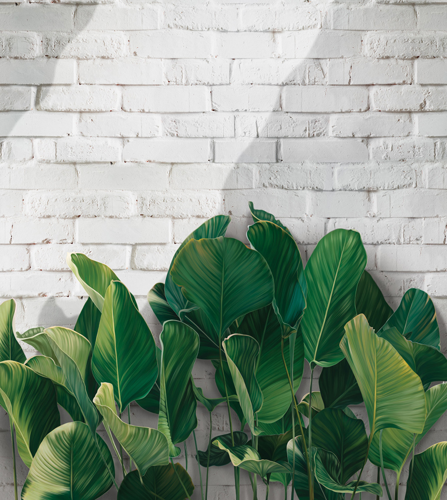 Фотошпалери LeoPrint Балі - Зображення