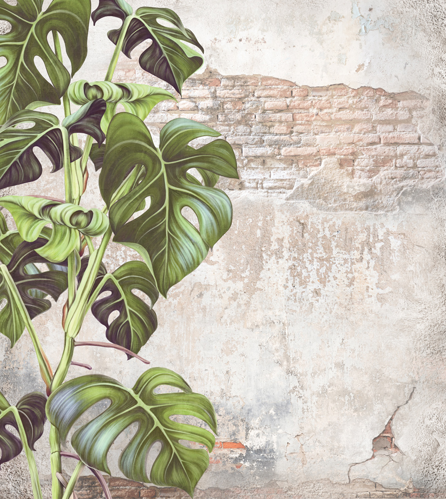 Фотошпалери LeoPrint Монстера - Зображення