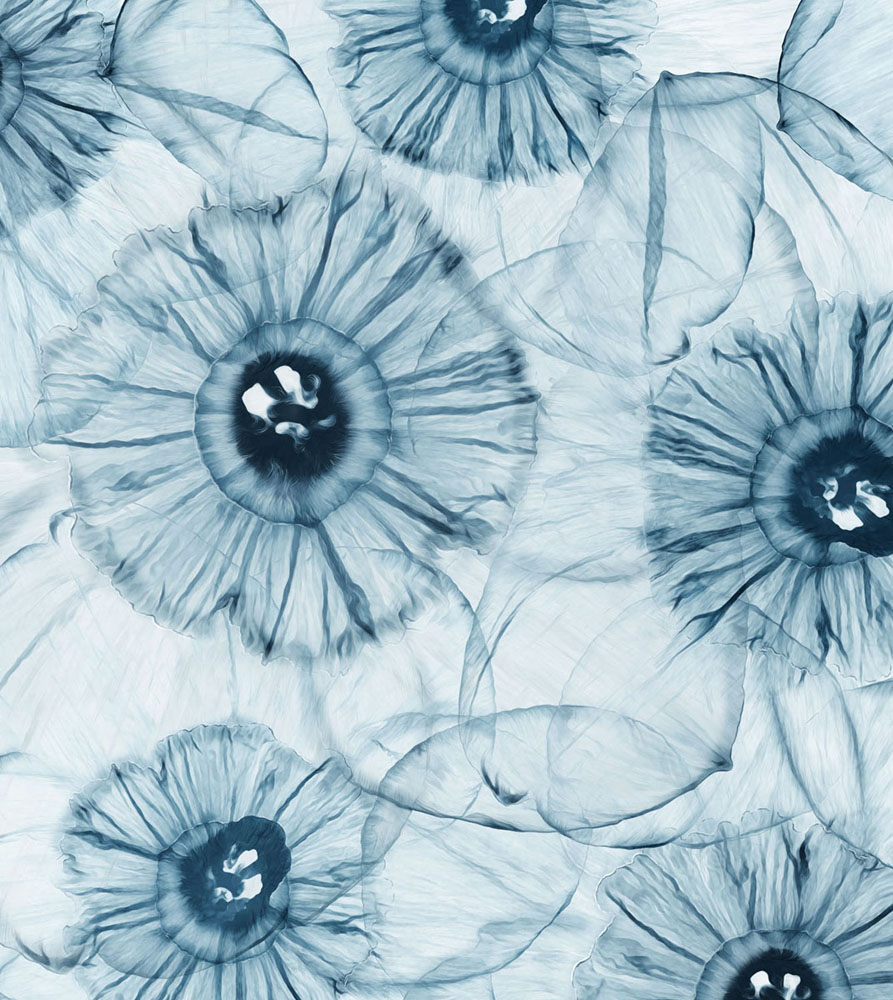 Фотошпалери LeoPrint Нарцис - Зображення