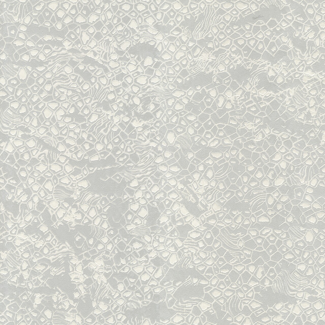 Шпалери Emiliana Parati Roberto Cavalli № 8 19034 - Зображення