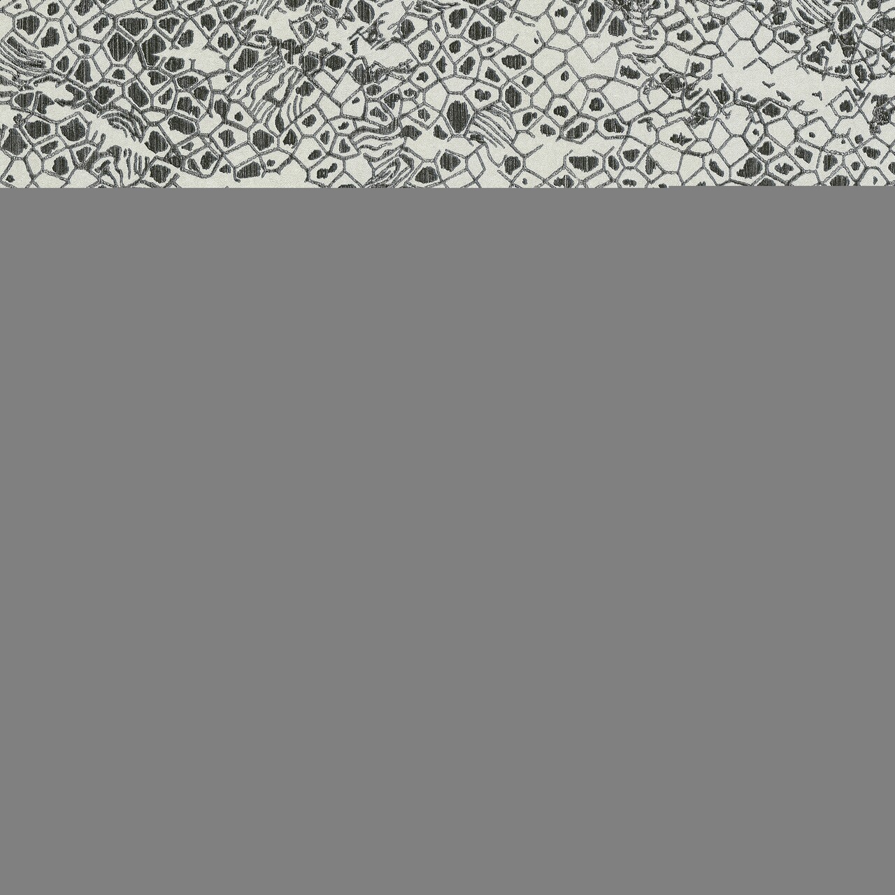 Шпалери Emiliana Parati Roberto Cavalli № 8 19035 - Зображення XOQ3ABT_19035.jpg