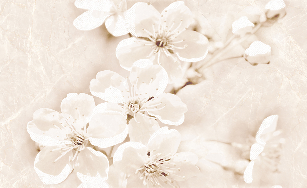 Декор Sofi Inserto Flower 250x400x8 Cersanit - Зображення bcf01-sofi_inserto_25x40.jpg