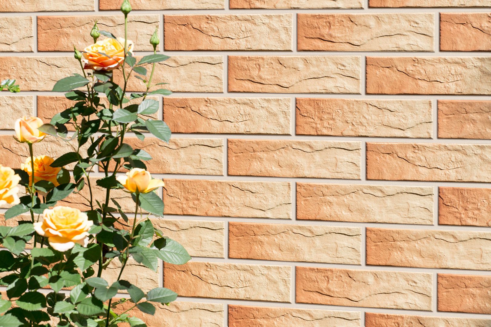 Плитка фасадна з відтінком Gobi RUST 65x245x6,5 Cerrad - Зображення e8401-gobi-elewacyjna-rustykalna-detal.jpg