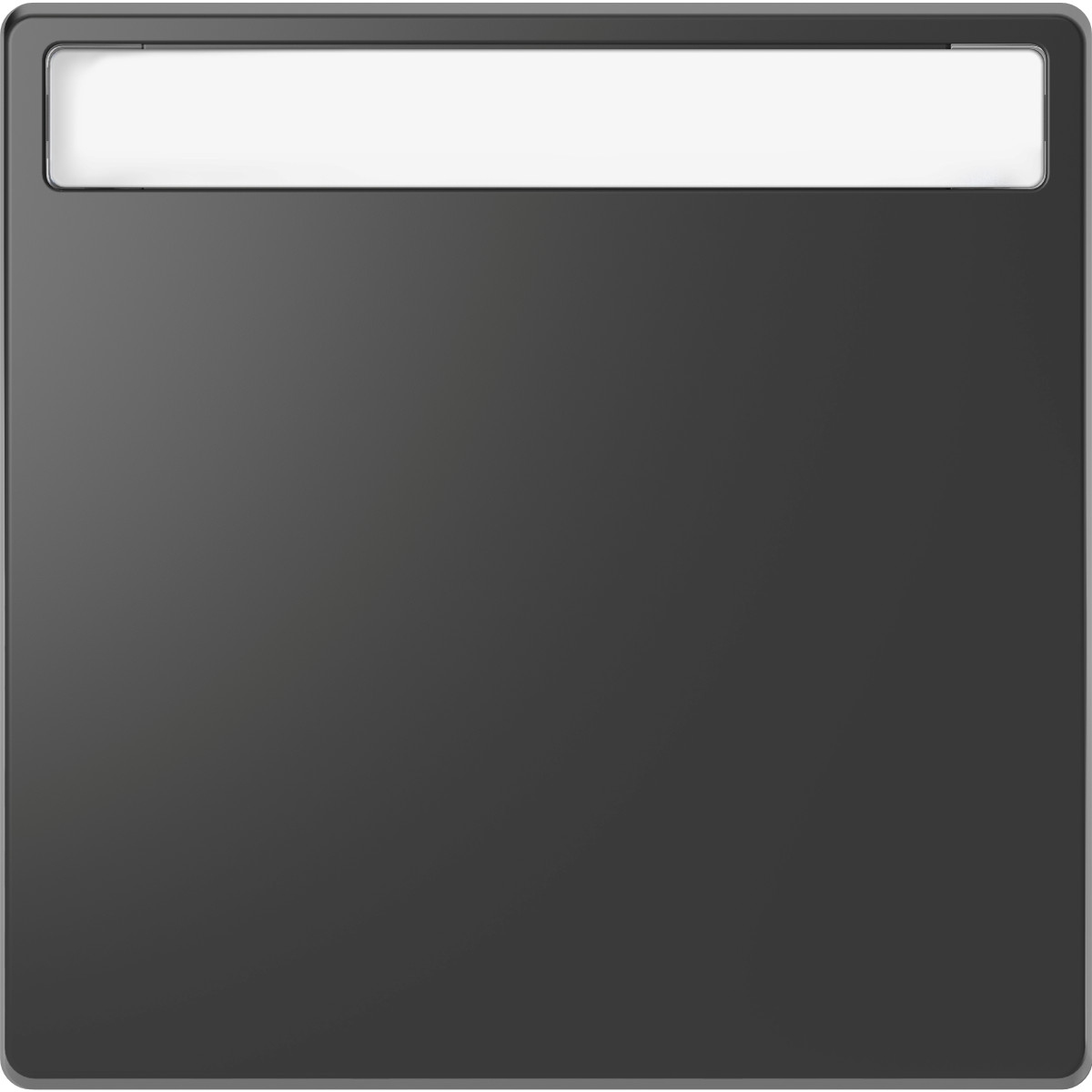 D-Life КЛАВІША з пол. д-нап АНТРАЦИТ - Зображення shnider_MEG3360-6034.jpg