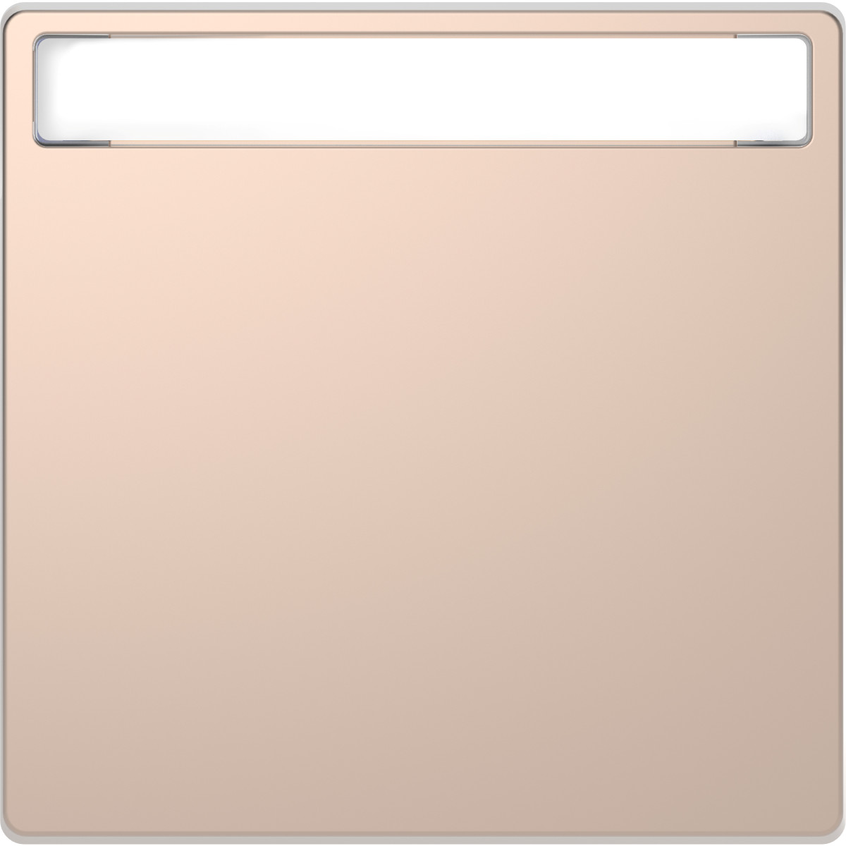 D-Life КЛАВІША з пол. д-нап ШАМПАНЬ - Зображення shnider_MEG3360-6051.jpg