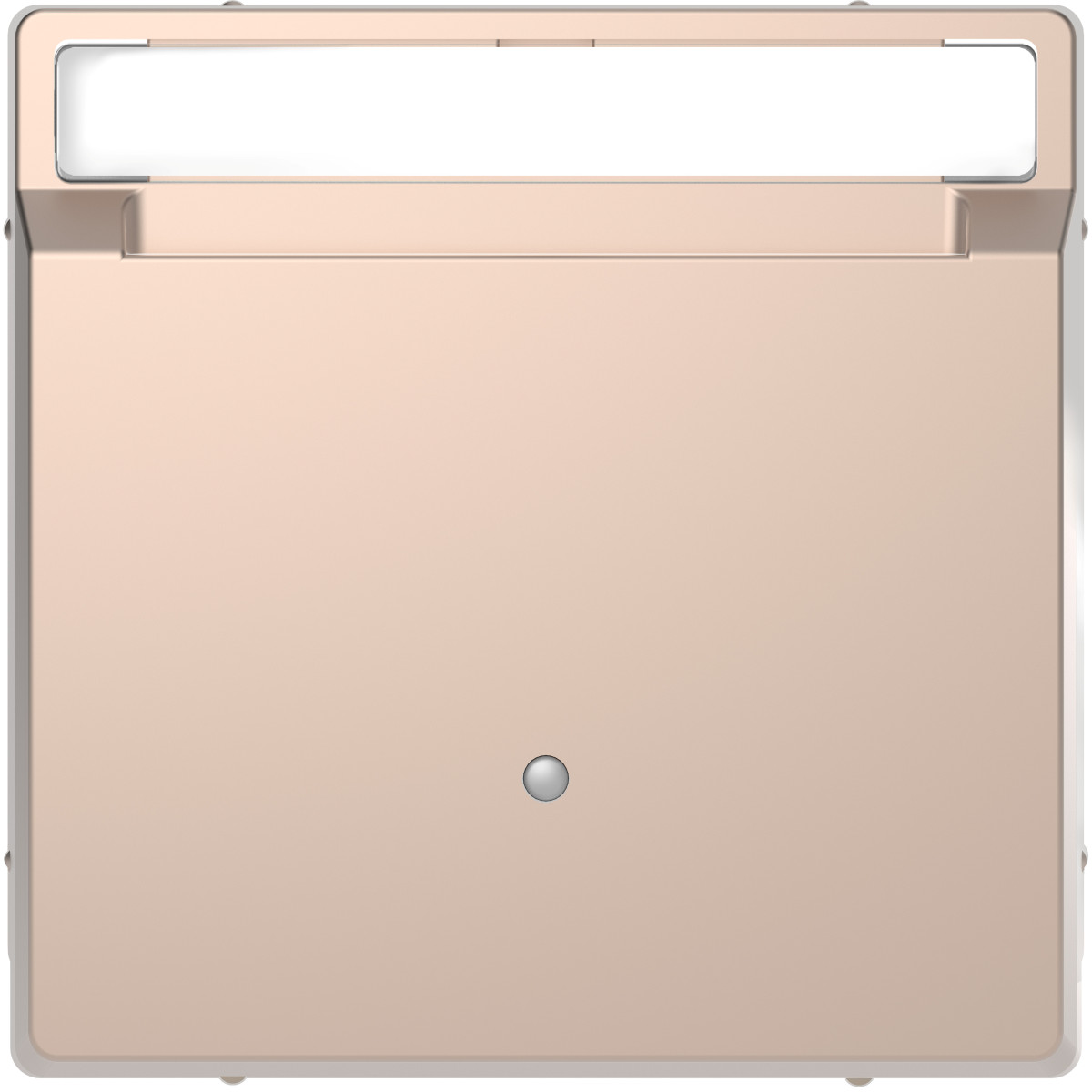 D-Life ВИМ. з ключ.-картою ШАМПАНЬ - Зображення shnider_MEG3854-6051.jpg