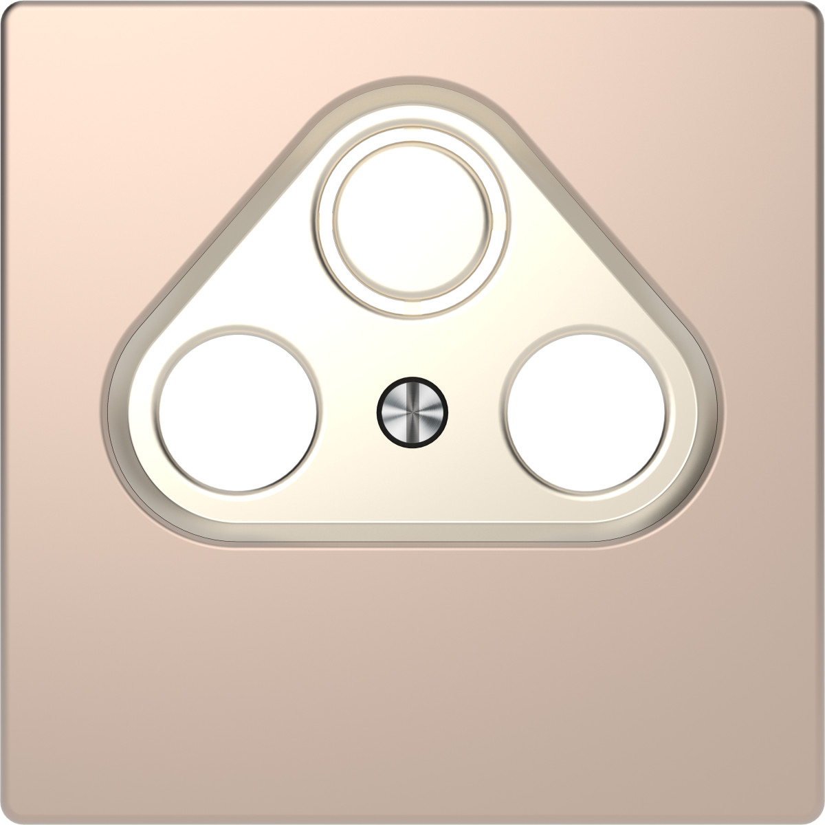 D-Life ЦЕНР. НАКЛ. TV розетка ШАМПАНЬ - Зображення shnider_MEG4123-6051.jpg