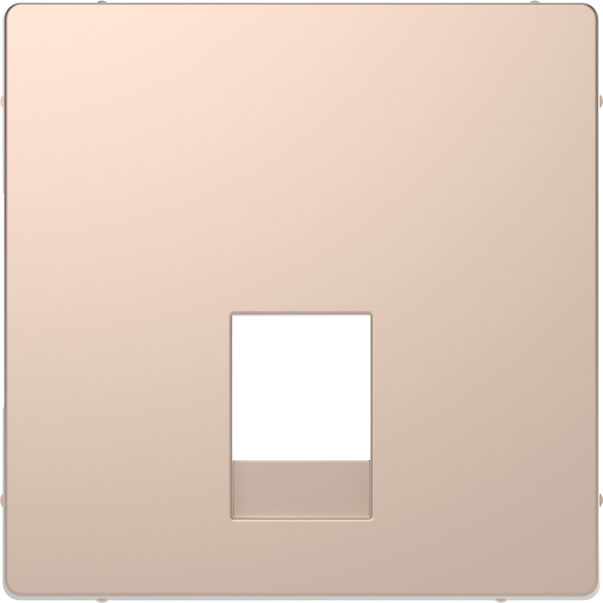 D-Life ЦЕНТР. НАКЛ. 2*RJ11-12 ШАМПАНЬ - Зображення shnider_MTN4215-6051.jpg