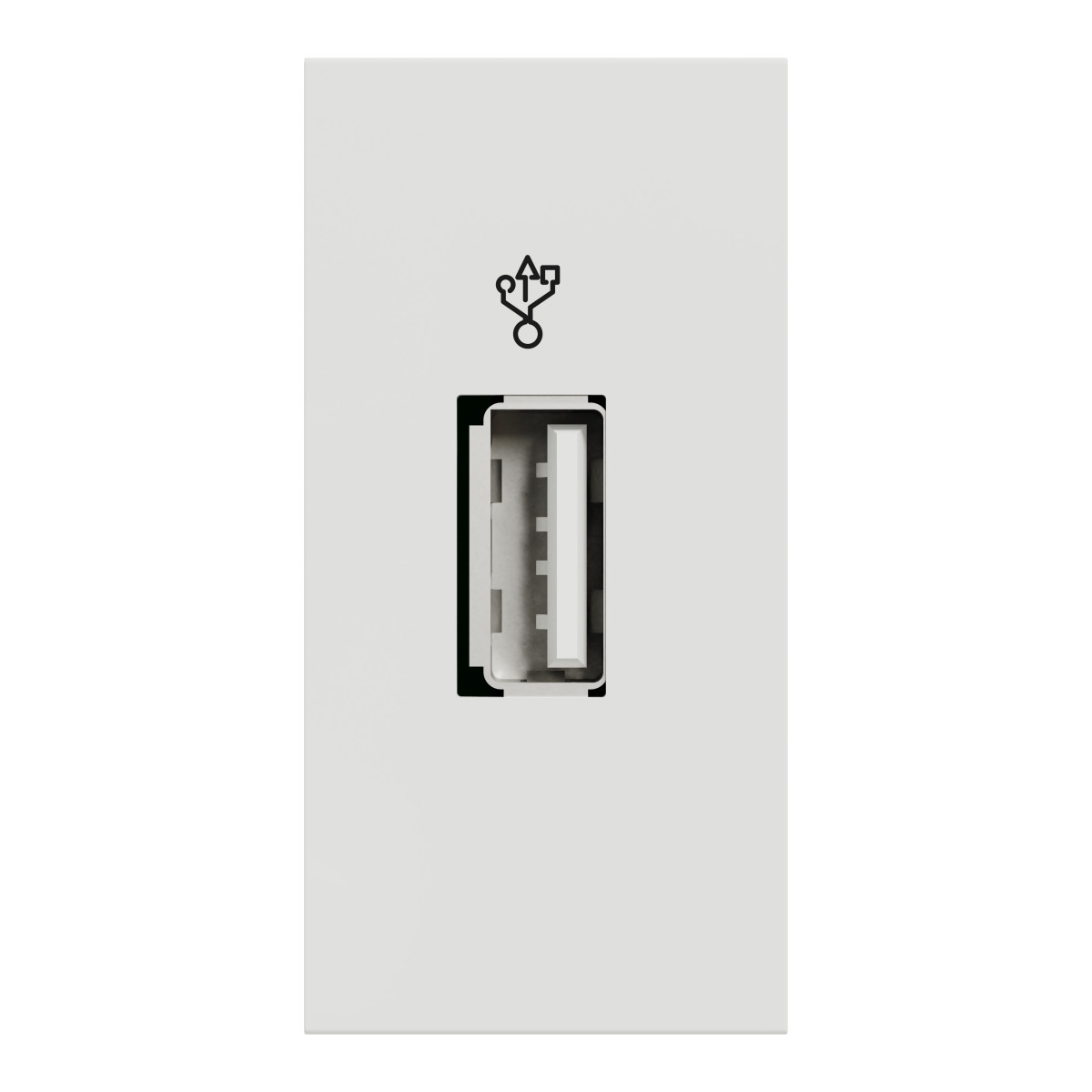 USB-коннектор 1 модуль білий - Зображення shnider_NU342918_Face.jpg