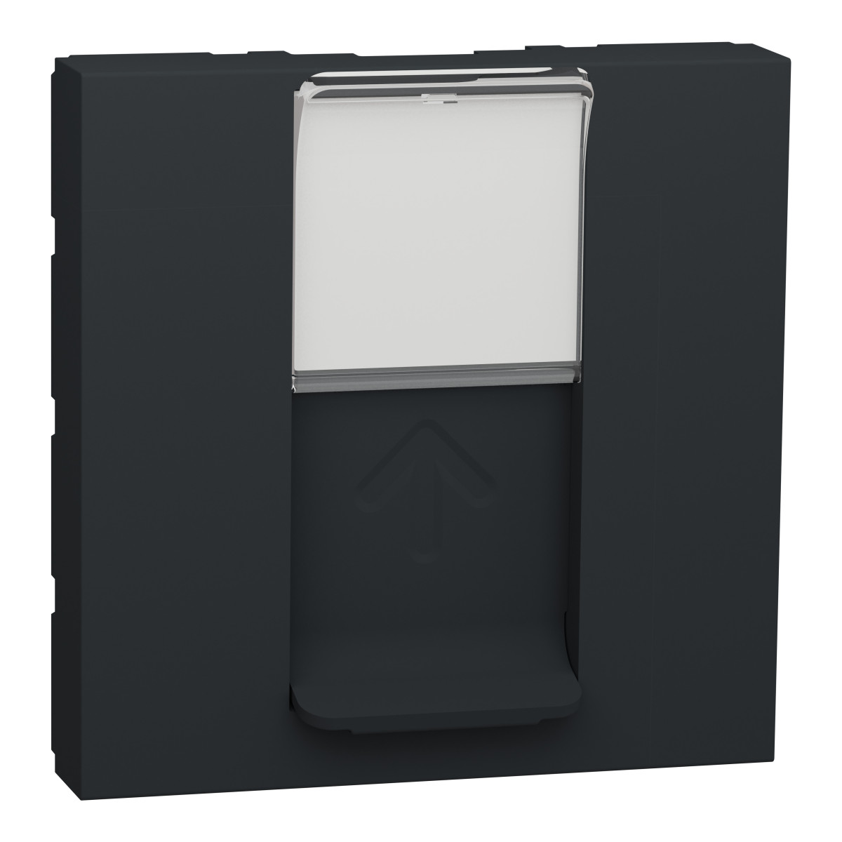 RJ45 накладка 2 модуль антрацит - Зображення