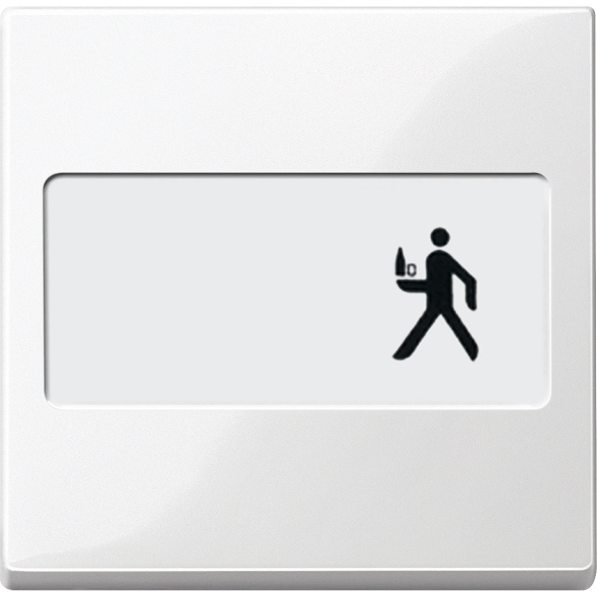 SM КЛАВІША, З ПОЛЕМ Д-НАПИСУ, ПОЛ-БІЛ - Зображення shnider_P114578.jpg