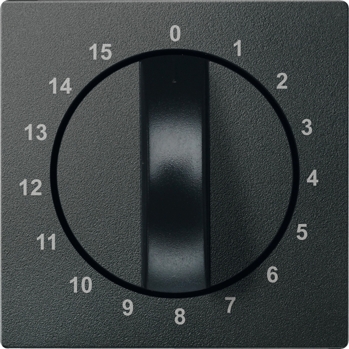 SM НАКЛАДКА Д-М-МУ ТАЙМЕРА 15ХВ, АНТР - Зображення shnider_P115338.jpg