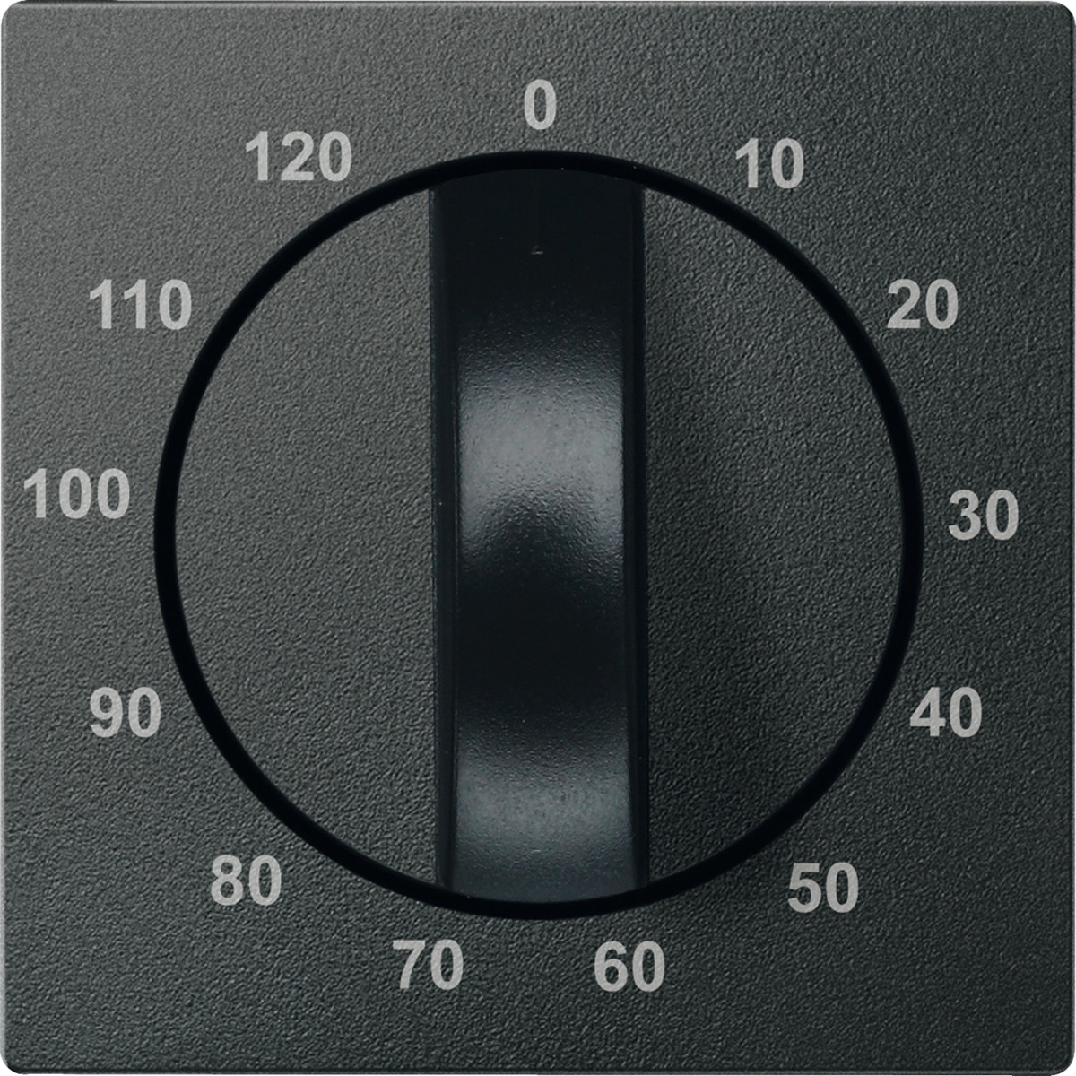 SM НАКЛАДКА Д-М-МУ ТАЙМЕРА 120ХВ, АНТР - Зображення