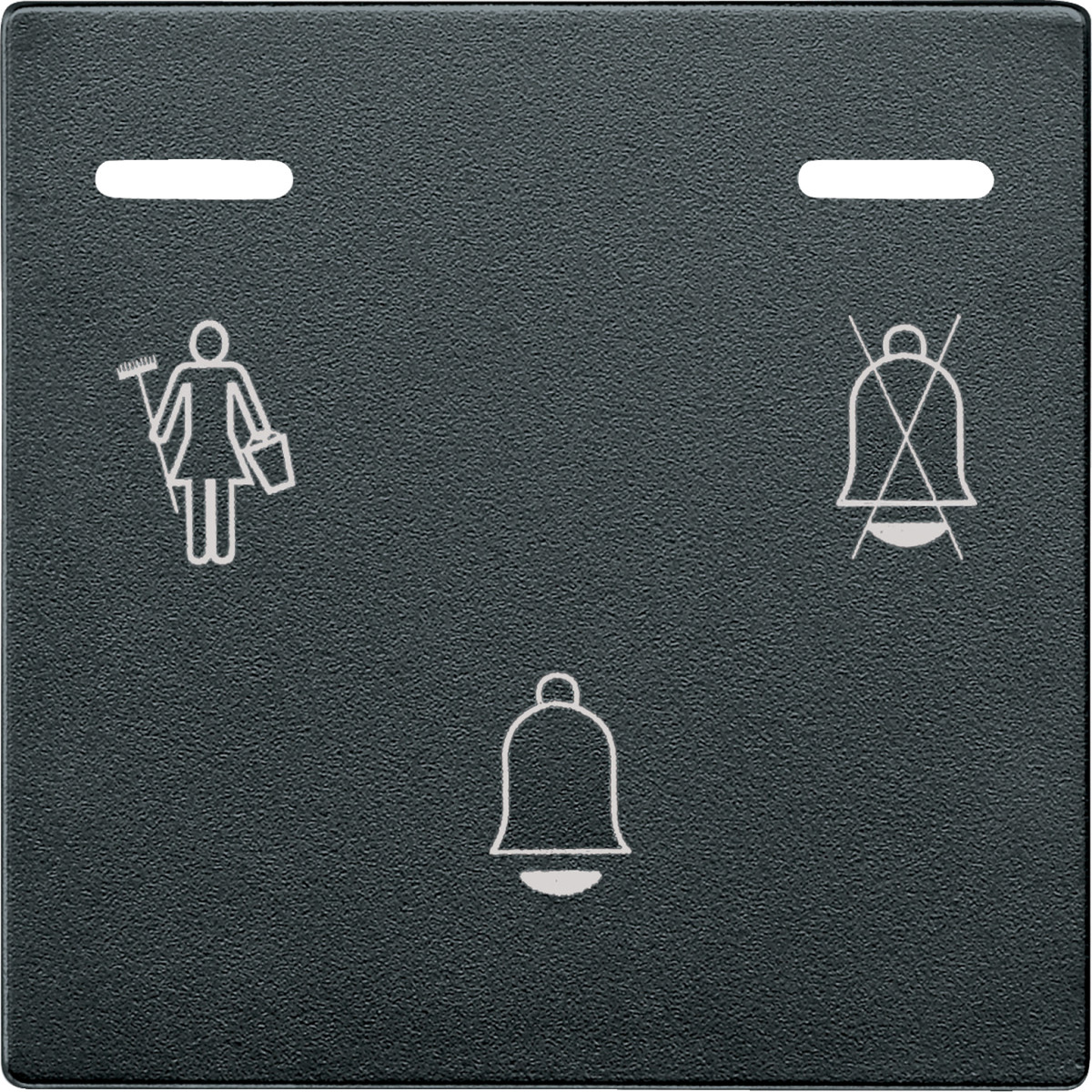 SM КНОПКА ДЗВІНКА З СВІТЛ. ІНДИК., АНТР. - Зображення