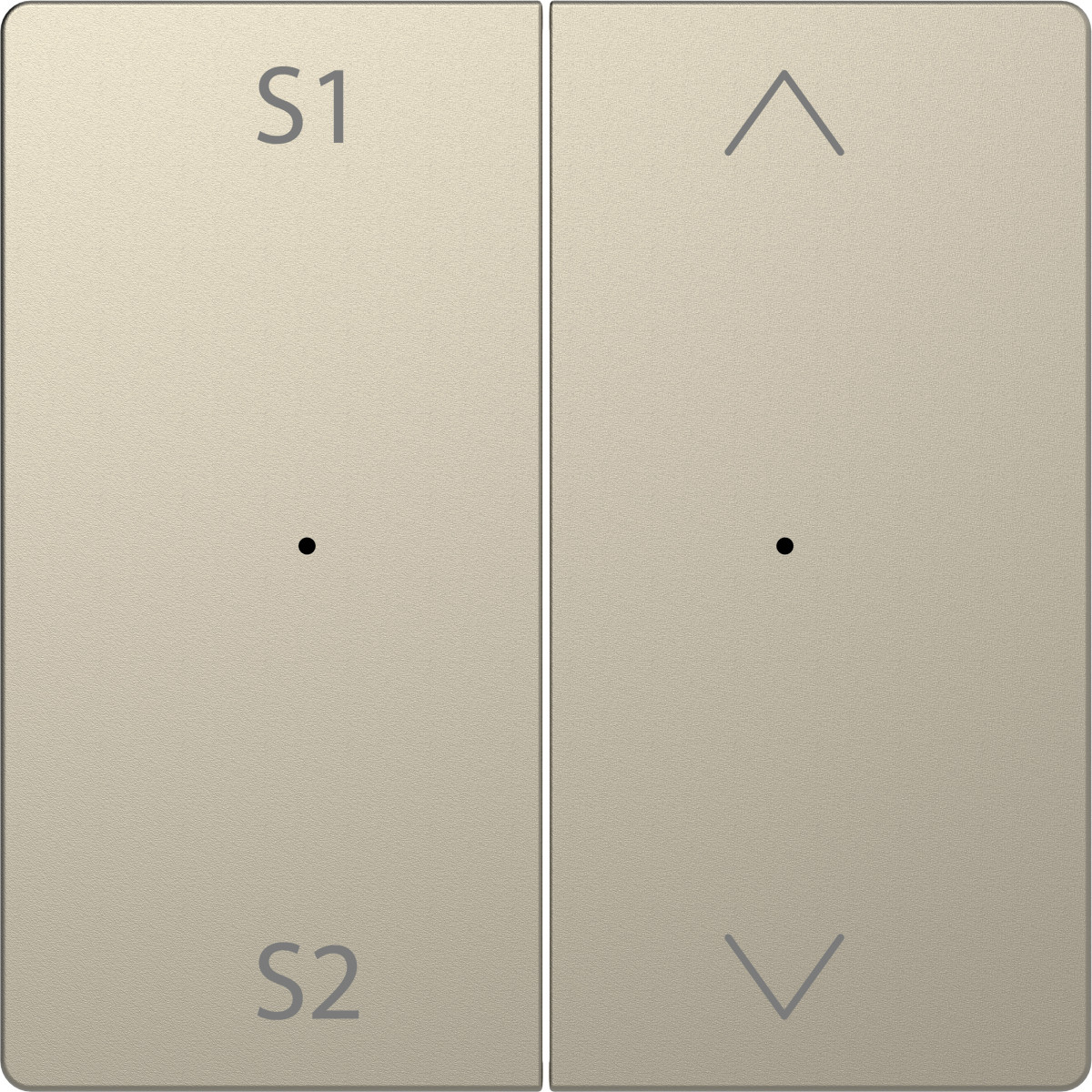 D-Life P-Link КЛАВІША 2-на S1-S2, САХАРА - Зображення shnider_PIO00017652.jpg