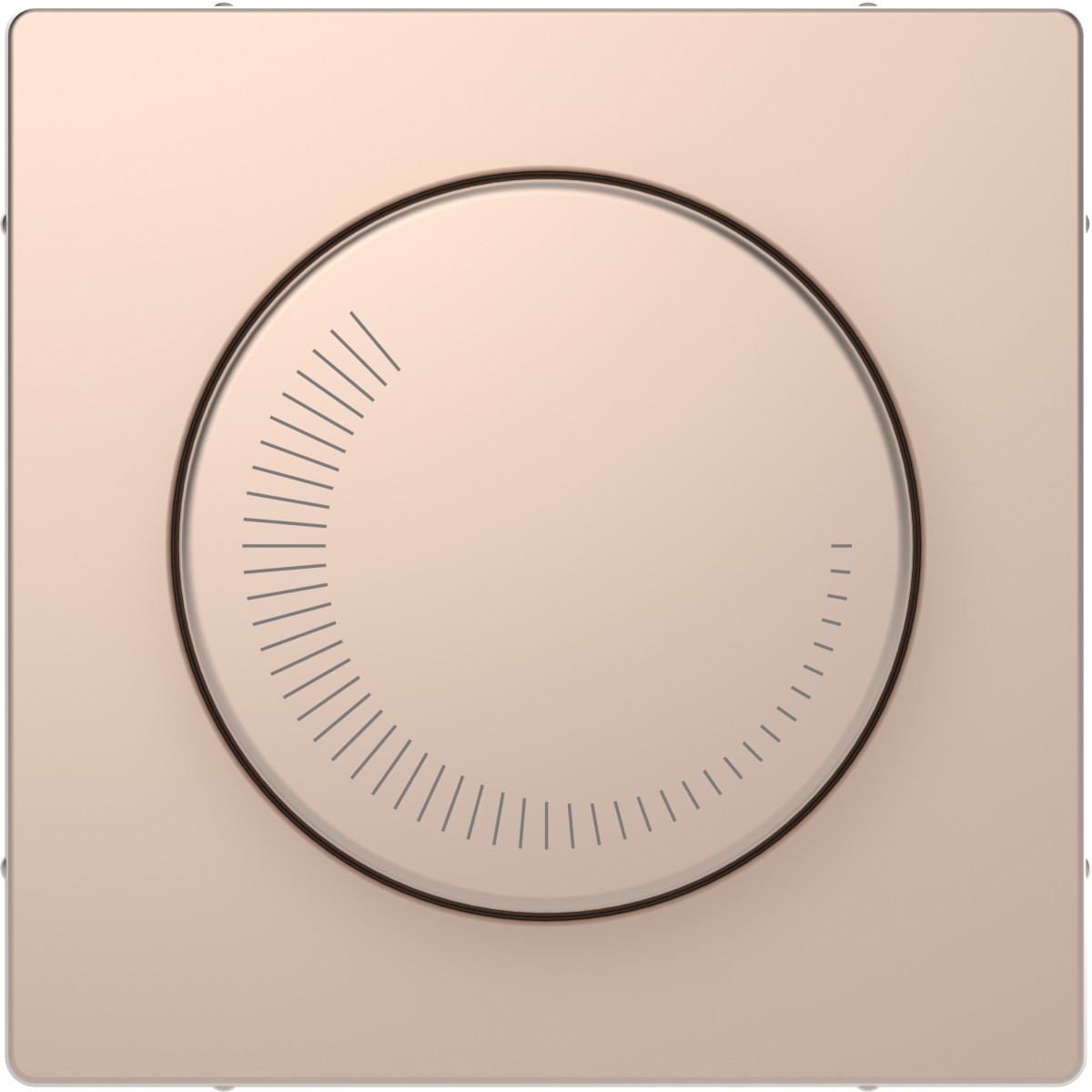 D-Life Ц. НАК. регул. част. об., ШАМПАНЬ - Зображення