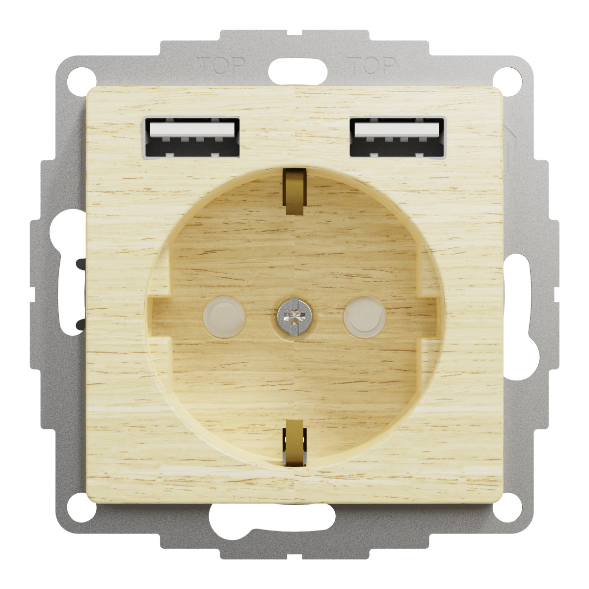 Розетка з заземленням + 2 х USB типу А, Береза Sedna Elements - Зображення shnider_SDD180052_IOP-front_WD20.jpg