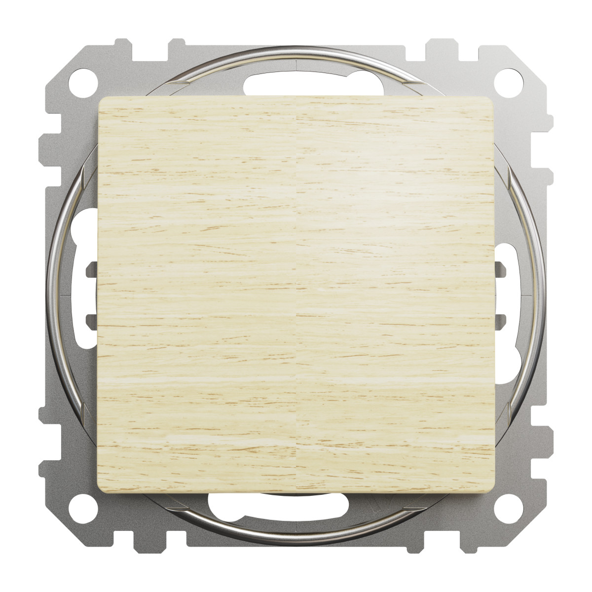 Кнопковий вимикач 10 А, Береза Sedna Elements - Зображення shnider_SDD180111_IOP-front_WD20.jpg